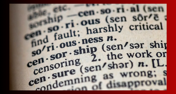 Article | Ottawa's assault on our internet freedoms must stop now by John Carpay | Western Standard Guest Columnist