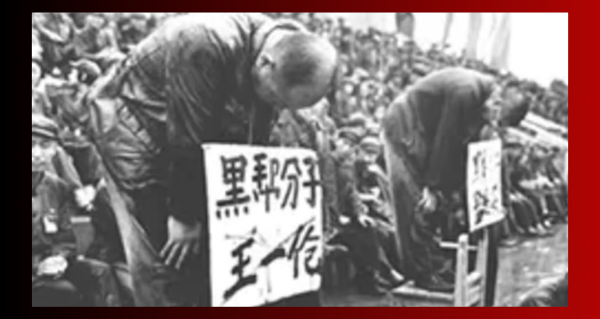 Article | Not all ideas are equal. Neither are all cultures by James Albers | Western Standard Guest Columnist